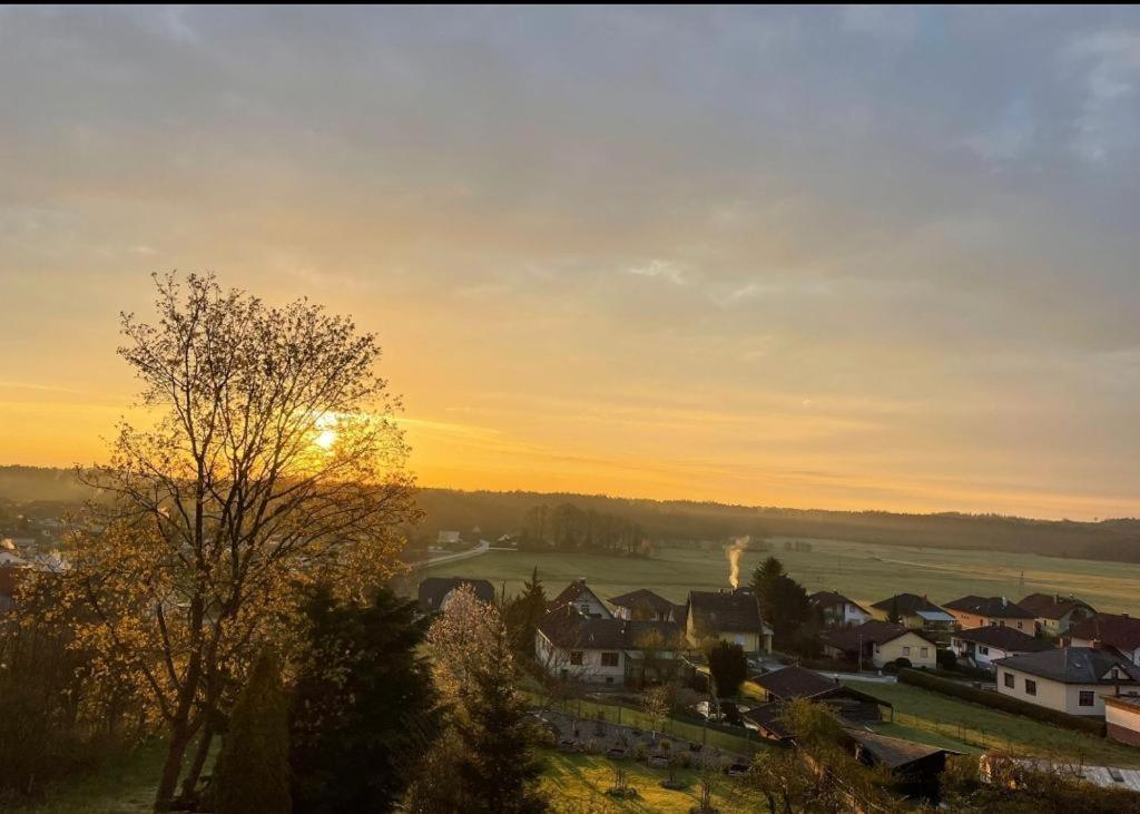 Freinestwaldviertel Lejlighed Hoheneich Eksteriør billede